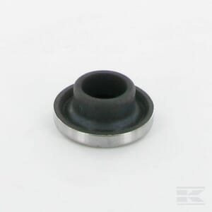 Ruonis Busatis 3672360