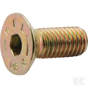 Įgilintas varžtas 9040241