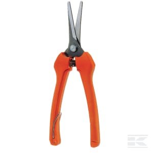 Gėlių ir vaisių žirklės P128 P12819