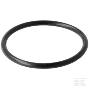 O-žiedas 8.7.6.00954 435887600954