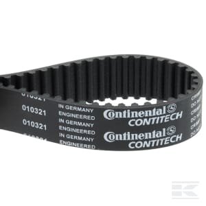 Dantytasis diržas apatinis 75405049