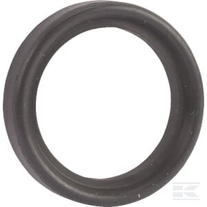Tri-clamp sandarinimo tarpinė 3/4" FPM TCG34FPM