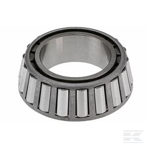 Guolio kūgis VPJ3761
