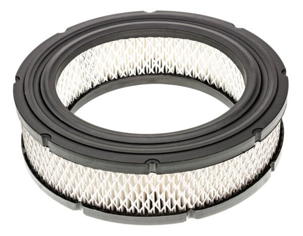 Oro filtras B&S Vanguard Model 38