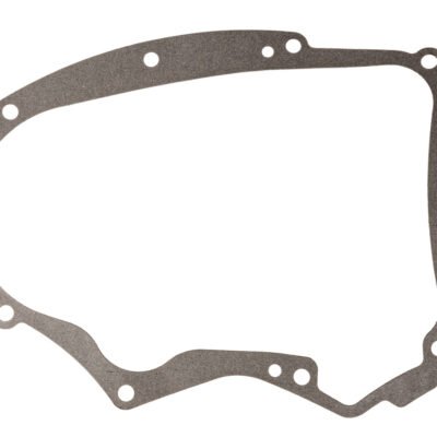 B&S karterio tarpinė V-Twin – ORIGINALI DALIS