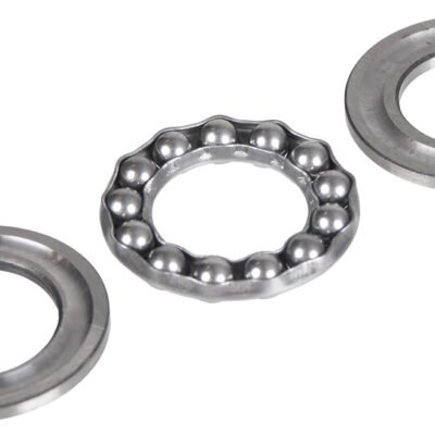 Guolis 51104 Cedrus sniego valytuvui CEDSB56