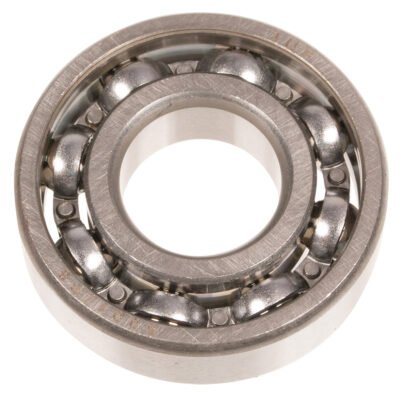 Alkūninio veleno guolis Cedrus pūstuvui DM02