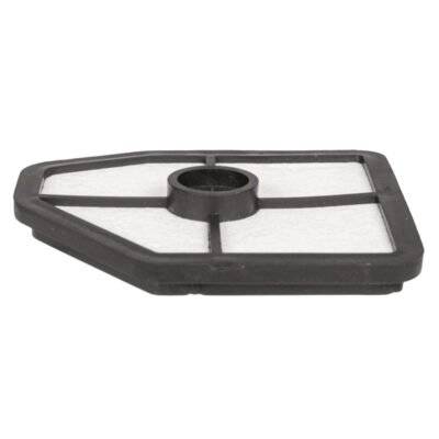 Oro filtras Cedrus pūstuvui DM03