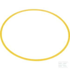 Atraminis žiedas 117,0x123,2-117,8x124,0 10PBK247