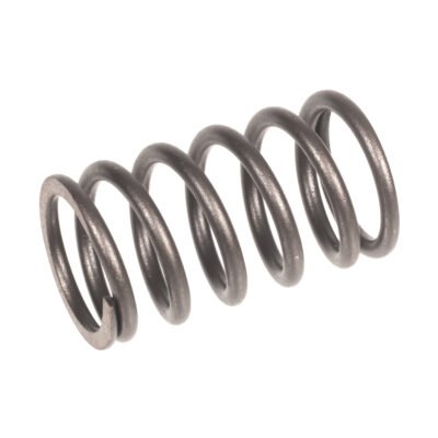 Vožtuvo spyruoklė Cedrus generatorius CEDAG8E-1F