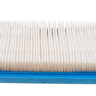 Oro filtras B&S Quantum Series 600 originali dalis