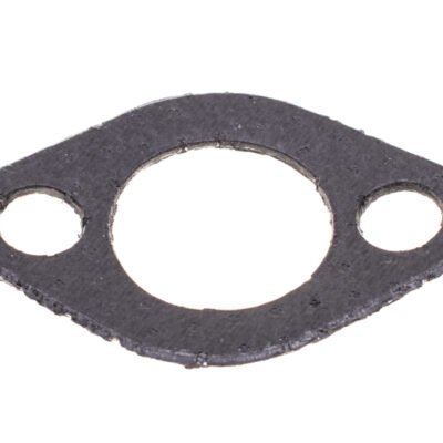 Duslintuvo tarpinė Briggs & Stratton