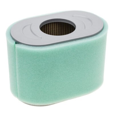 Oro filtras Briggs & Stratton Vanguard 8-10 AG, 190000 modeliui, originali dalis