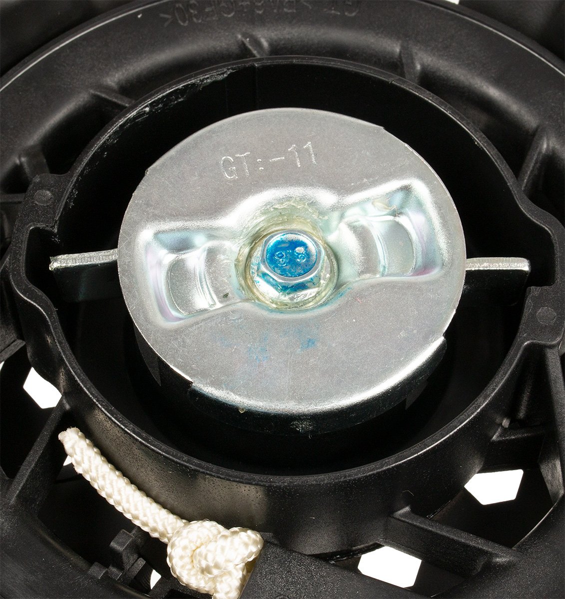 Cedrus starteris vertikuliatoriui CEDWR02R - Image 3