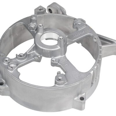 Alternatoriaus gaubtas Cedrus generatorius CEDAG8E-1F