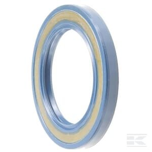 Riebokšlis BASLX2 60x90x9 72NBR 31794100N