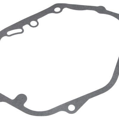 Karterio tarpinė Cedrus varikliui Y196V