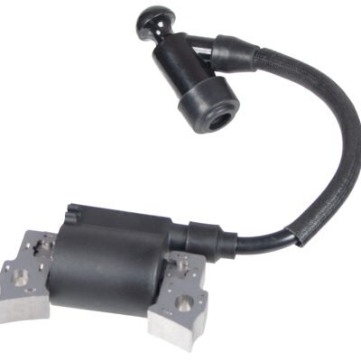 Uždegimo ritė Cedrus varikliui Y170V