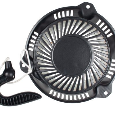 Starteris Cedrus varikliui Y173VE