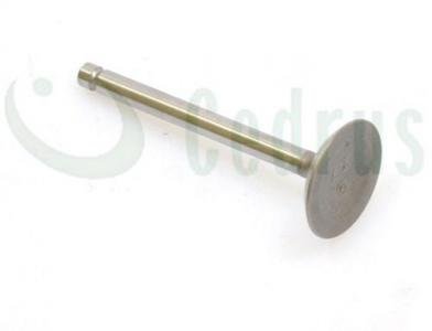 Įsiurbimo vožtuvas Robin EX17 ORIGINALI DALIS