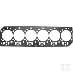 Cilindrų galvutės tarpinė 6005021491