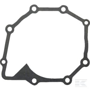 Vandens siurblio tarpinė 6005021631