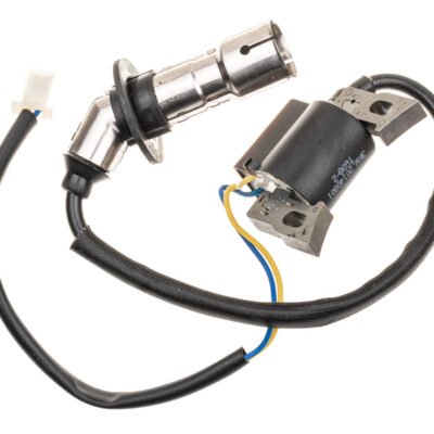 Uždegimo ritė Briggs & Stratton Powersmart P3000 originali dalis