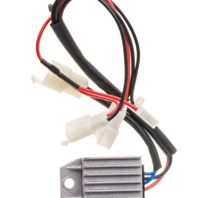 Įtampos reguliatorius Briggs & Stratton Powersmart P3000 originali dalis