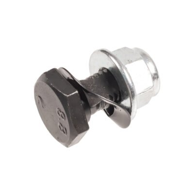 Peilio antgalio varžtas su veržle Masport 4 vnt