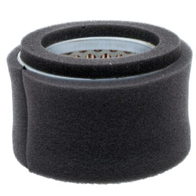 Oro filtras Robin Ø79×57×57 mm