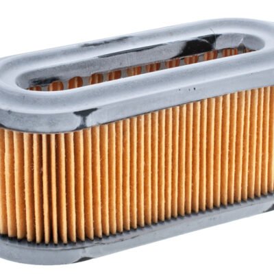 Oro filtras Tecumseh BVL varikliui