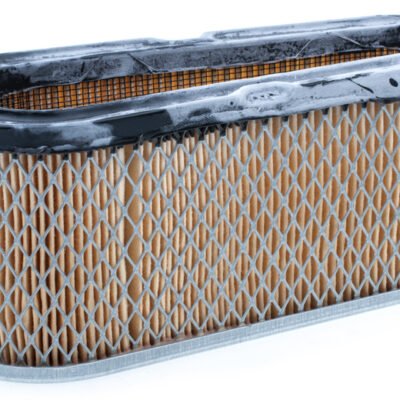 Oro filtras Tecumseh 15-16 AG varikliui