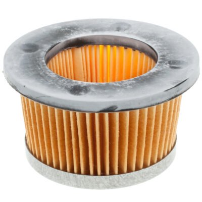 Oro filtras Tecumseh 2,5-8 AG varikliui