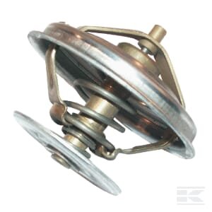 Termostatas Zetor 89005904
