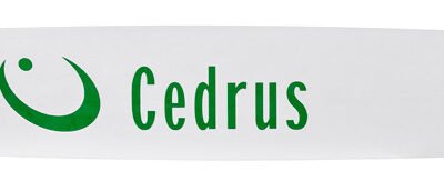 Kreipiamoji juosta 15" 3/8" 1,6 mm Stihl