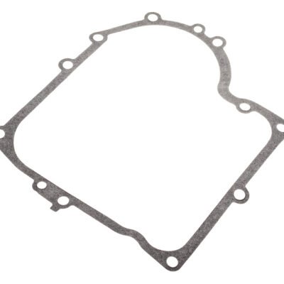 Karterio tarpinė Briggs & Stratton 12 AG