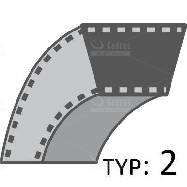 Pavaros diržas Cedrus vertikuliatoriui CEDWR01 CEDWR01-H 13×668