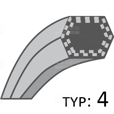 Pavaros diržas Castel Garden Stiga 12,7×2495