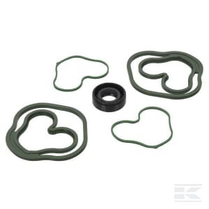 Sandarinimo komplektas, gopart 10 C18E GP910C18E