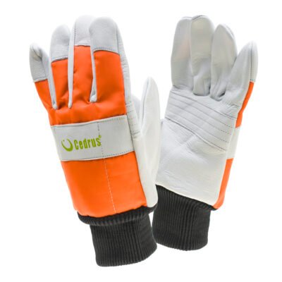 Pjovimui atsparios pirštinės Cedrus Forest klasė 0 dydis 10 (L)