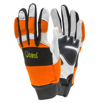 Pjovimui atsparios pirštinės Cedrus Forest Classic klasė 0 dydis 11 (XL)