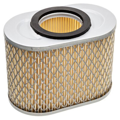 Oro filtras Briggs & Stratton Vanguard 8-10 AG modeliui 190000