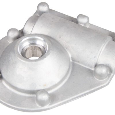 Kairioji pavaros apsauga Cedrus sniego valytuvui CEDSB56