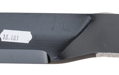 Peilio antgalis Westwood