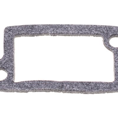 Įsiurbimo kolektoriaus tarpinė Briggs & Stratton