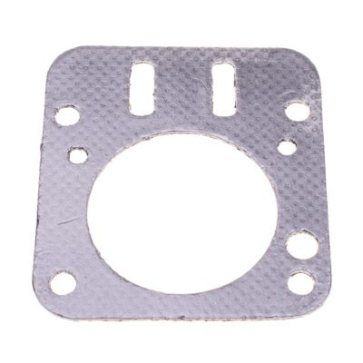 Cilindro galvutės tarpinė Briggs & Stratton