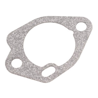 Oro filtro pagrindo tarpinė Kasey variklis EX27