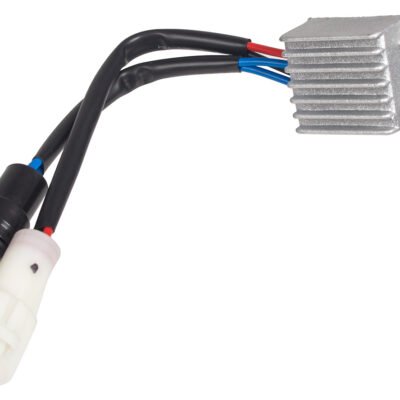 Įtampos reguliatorius Cedrus generatoriui CEDIN1000R