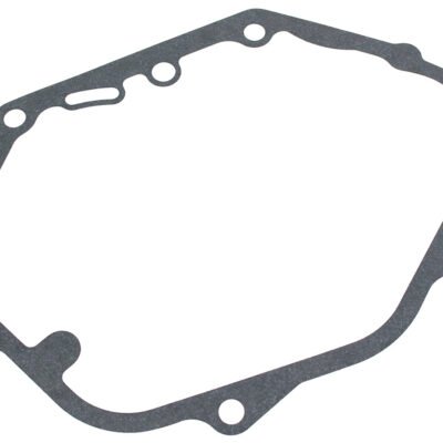 Alyvos karterio tarpinė Cedrus varikliui Y196V