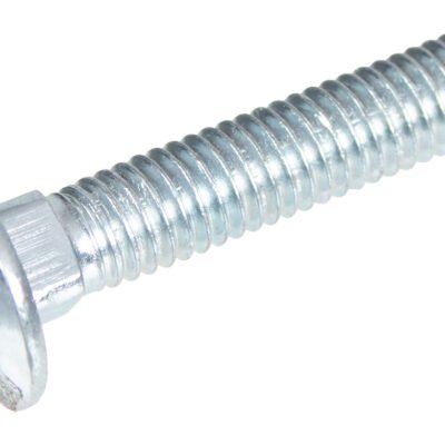 Varžtas Cedrus vertikutatoriui WR01-H